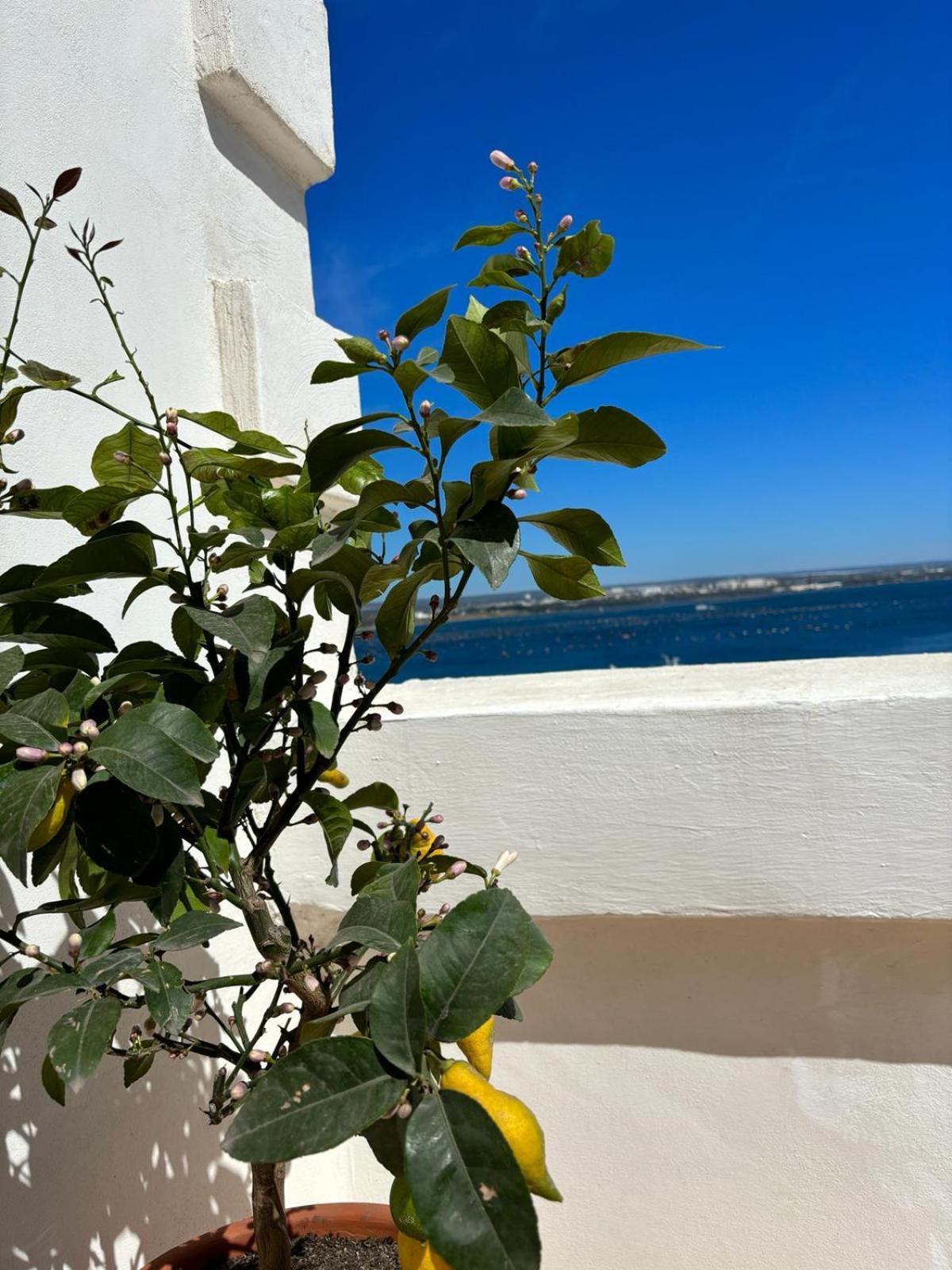 Il Palazzino Apartment Taranto Exterior photo